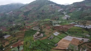 Dağlık bir arazideki teraslı tarımsal tarlaların havadan görünüşü, çeşitli yeşillik ve kahverengilik tonlarında, ekinlerin ve ağaçların etrafa saçıldığı yerler. Sahne gür ve canlı, kırsal kesimin güzelliğini gözler önüne seriyor..
