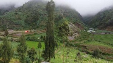 Dağlık bir bölgedeki sisle kaplanmış teraslı tarlaların manzarası. Bereketli yeşillik, birkaç çiftlik yapısıyla manzaraya hakim. Atmosfer sakin ve huzurlu, kırsal tarımın güzelliğini gösteriyor..