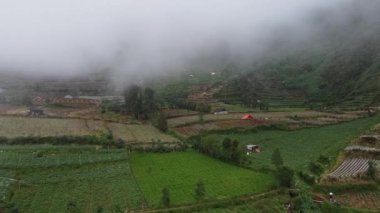 Sisli bir dağlık bölgedeki teraslı tarlaların manzarası. Manzara, çeşitli yeşillik tonlarına, mahsul parçalarına ve birkaç küçük yapıya sahiptir. Sis tepeleri sarar, sakin ve sakin bir atmosfer yaratır..