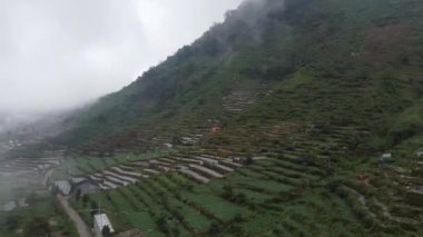 Yamaçtaki teraslı çiftçiliğin havadan görünüşü. Manzara yeşilin değişik tonlarına sahiptir ve bazı bölgelerde tarlalarla ilgilenen işçiler görülür. Dieng Platosu, Endonezya.