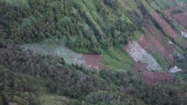 Yamaçtaki teraslı tarım arazilerinin havadan görünüşü çeşitli ekinler ve yeşillikler sergiliyor. Manzara, ekili tarlalar ve doğal bitki örtüsünün bir karışımını içerir. Dieng Platosu, Endonezya.