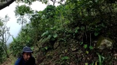 Mavi şapkalı ve sırt çantalı bir insan dik eğimli, sık, yeşil bir ormanda yürüyüş yapıyor. Bölge çeşitli bitki ve ağaçlarla doludur ve gökyüzü bulutlu görünür..