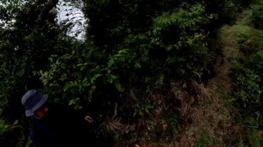 Mavi şapkalı ve mavi elbiseli biri dar bir yolda dikiliyor. Etrafı yoğun yeşil yapraklarla çevrili..