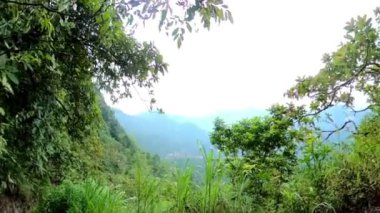 Mavi ceketli ve şapkalı bir adam dağlık bir bölgede dar ve fazla gelişmiş bir patikada yürüyüş yapıyor. Yorgun görünüyor ve bir mola veriyor. Yol yemyeşil ve ağaçlarla çevrili..