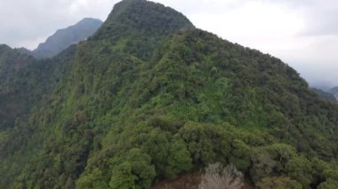 Muria Dağları 'nda ormanların yok edilmesi, Orta Cava, Endonezya.