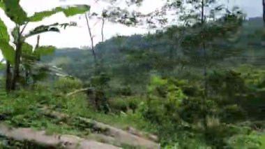 Yoğun ağaçlar ve yapraklardan oluşan yemyeşil bir manzara, bulutlu bir gökyüzünün altında dağlık bir arkaplan. Sahne bir sükunet ve doğal güzellik hissi veriyor..