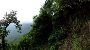 Arkasında yoğun bitki örtüsü ve sis olan yemyeşil ormanlı bir dağ yamacı..