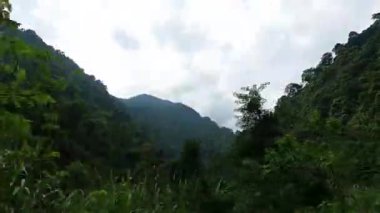 Bereketli yeşillik, bulutlu gökyüzü ve ön planda elektrik hatları olan dağlık bir arazinin manzarası. Dağlar bulutlar tarafından kısmen gizleniyor, sakin ve sakin bir atmosfer yaratıyor..