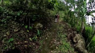 Dar bir toprak yolda, yemyeşil bir ormanda yürüyen biri. Yol sık bitki ve ağaçlarla çevrili..