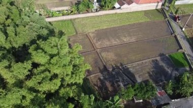 Pirinç tarlalarının bazı bölgeleri ekime hazır ve diğerleri çoktan ekilmiş. Tarlaların kenarında kırmızı çatıları olan evler görülebiliyor..