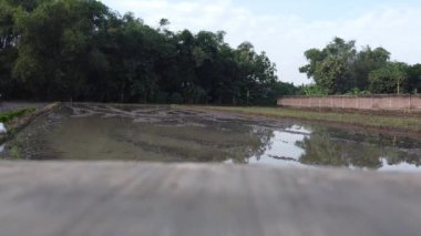 Gökyüzünü yansıtan suyla dolu bir tarımsal arazinin olduğu bir kırsal alan. Alan yoğun yeşil ağaçlar ve bir tarafında tuğla bir duvarla çevrilidir. Gökyüzü parçalı bulutlu.