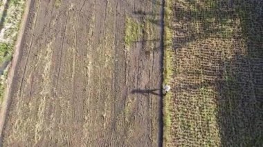 Tarımsal tarlaların havadan görünüşü ve farklı ürün yetiştirme aşamaları. Bir tarla yeni sürülmüş gibi görünüyor, diğeri ise genç bitkiler yetiştiriyor..