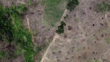Yeşil bitki örtüsü ve toprak yolları olan ormansız bir bölgenin havadan görünüşü..