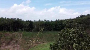 Dolambaçlı bir yolu olan yemyeşil bir ormanın manzarası ve dağınık bulutlu mavi gökyüzünün altında birkaç araç..