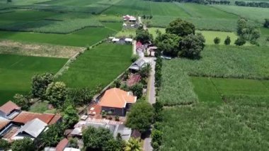Yeşiller ve ağaçlarla çevrili kırsal bir köyün havadan görünüşü. Mojokerto, Doğu Java, Endonezya