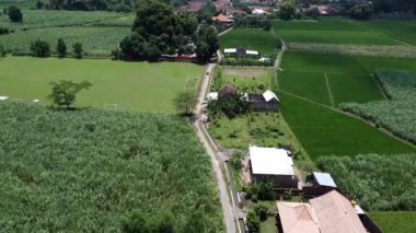 Yeşil arazili bir kırsal alan, birkaç ev ve manzaranın içinden geçen bir yol. Bölge yemyeşil bitki örtüsü ve ağaçlarla çevrili. Mojokerto, Doğu Java, Endonezya