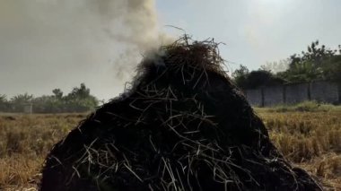 Açık bir alanda yanan kuru bir ot yığını. Gökyüzüne yükselen dumanla birlikte..