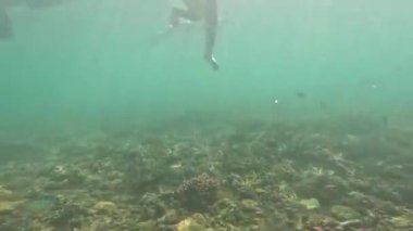 Labuan Bajo 'daki bir mercan resifinin üzerinde yüzen iki şnorkelliyi gösteren sualtı sahnesi. Su berraktır, güneş ışığı içinden süzülerek aşağıdaki canlı deniz yaşamını aydınlatır..