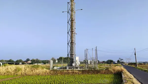 stock image A tall communication tower stands in a rural landscape, surrounded by green rice fields and a clear blue sky. A dirt road runs alongside the fields, with power lines stretching into the distance.