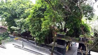 Yoğun ağaçlar ve yapraklardan oluşan yemyeşil bir manzara ve aşağı inen bir merdiven. Sahne, doğa aşıkları için ideal sakin bir ortam yakalıyor..