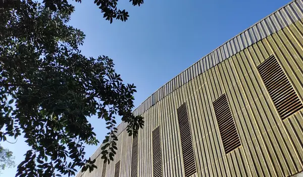 Kıvrımlı ahşap cepheli, ağaç dallarıyla kısmen gizlenmiş modern bir bina. Gökyüzü berrak ve mavi, sakin bir atmosfer yaratıyor..