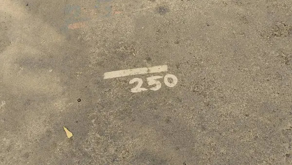 Beton bir yüzeye yakından bakınca altında beyaz boyalı bir '250' ve yatay bir çizgi var. Yerler dağınık yapraklarla tozlu görünüyor..