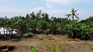 Kerto Mataram İslami Sitesi, Yogyakarta, Endonezya. Palmiye ağaçları, yeşil yapraklar ve metal çatılı yapıların yer aldığı tropikal bir manzaranın havadan görünüşü.