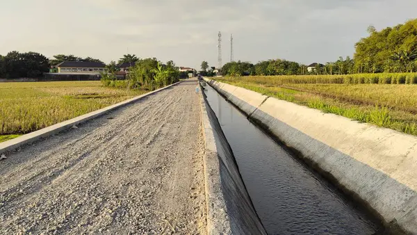 stock image A rural landscape featuring a wide irrigation canal flanked by a gravel path. Lush green rice fields are visible on both sides, with a clear blue sky above. Telephone towers can be seen in the distance, indicating a blend of nature and infrastructure