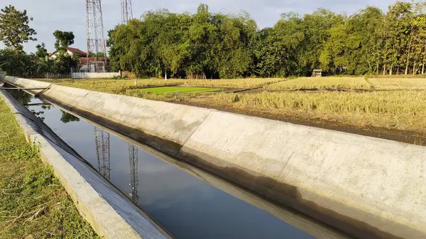 stock image A serene agricultural landscape featuring a concrete irrigation canal reflecting the sky. Surrounding fields are golden with harvested rice, and lush greenery is visible in the background. Communication towers stand tall in the distance.