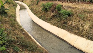 Yeşil bir arazide uzanan dar, beton kaplı bir drenaj kanalı. Bir tarafta ağaçlar ve çalılar, diğer tarafta bahçeli evler var. Gökyüzü parçalı bulutlu.