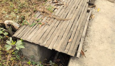 Dağınık yaprakları ve çatlakların arasında büyüyen birkaç küçük bitkiyle beton bir yol boyunca yıpranmış bir bambu yolu..