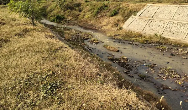 Kuru çayırlarda akan, yemyeşil tarlalar ve ağaçlarla çevrili, küçük bir dereden oluşan sakin bir manzara. Gökyüzü biraz bulutlu, sakin bir atmosfer yaratıyor..
