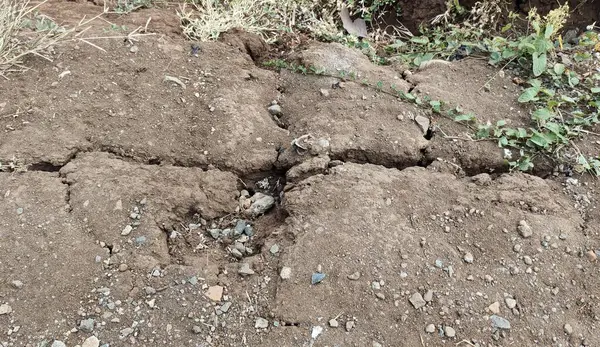 Arka planda küçük taşlar ve çimenler olan çatlamış kuru toprağın yakın görüntüsü, dünyanın dokusunu ve desenlerini vurguluyor..
