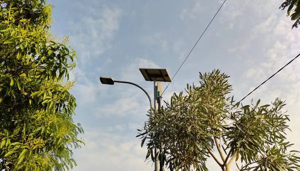 Güneş enerjili kırsal sokak lambaları mavi gökyüzü arka planına karşı. Önünde ağaçlar var.