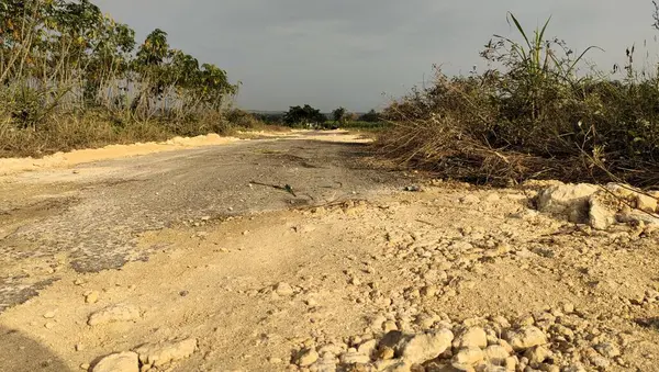 Arka planda kuru çimenler ve ağaçlarla çevrili toprak bir yola dağılmış engebeli taşların yakın görüntüsü. Sahne kayaların dokusunu ve doğal manzarayı yakalar..