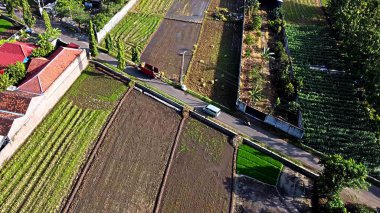 Yemyeşil pirinç tarlalarının ve tarımsal arazilerin havadan görünüşü dar bir yol boyunca uzanıyor. Kırmızı çatıları olan evler tarlaların yanında görülebiliyor, kırsal yaşamı sergiliyor..