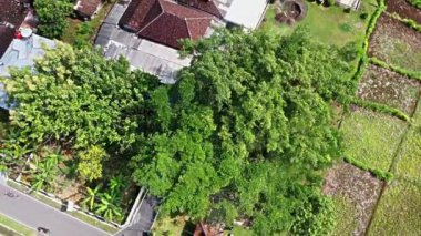 13 Şubat 1755 'te VOC, Yogyakarta ve Surakarta arasındaki anlaşmanın imzalandığı tarihi bir mekan olan Giyanti' nin cami yakınlarındaki hava manzarası. 