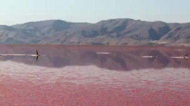 Pan, Maharloo Gölü 'nü ya da Pembe Göl' ü vurdu.