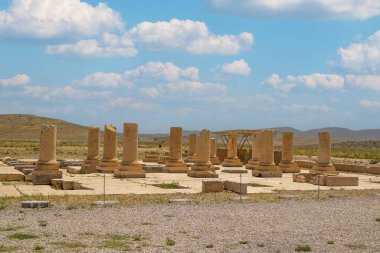 Özel saray-pasargadae-shiraz-iran