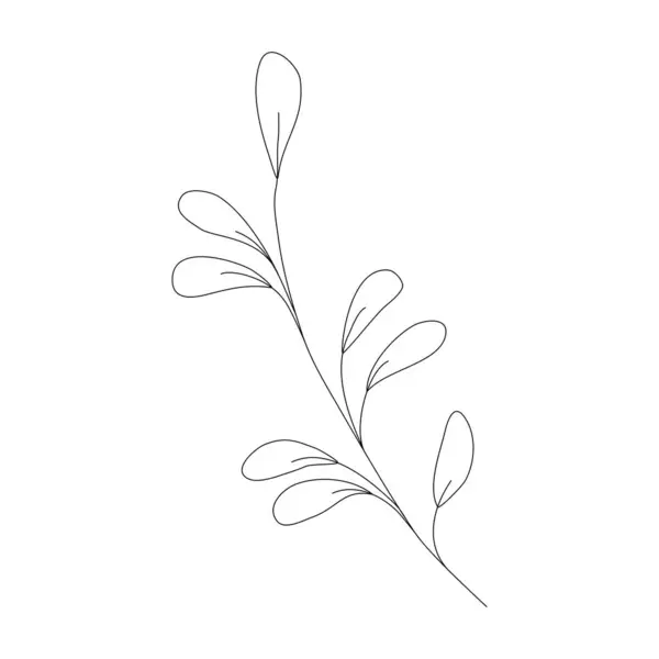 Yapraklı soyut dal. El çizimi çizimi. Minimalist karalama tarzı ikon. Tebrik kartı şablonu, basit logoti, sevimli dekorasyonlar, davetiyeler, kozmetik tasarımlar, hediyeler..