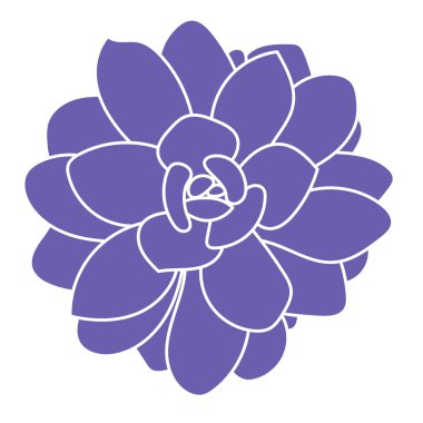 El çizimi çok sulu bitkiler beyaz arka planda izole edilmiş. Çizim vektör çizimi. 