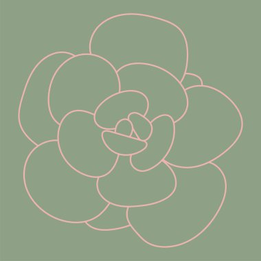 Doodle Succulent kırmızı çiçek. Baskı ve tasarım için çöl çiçeği. Desen. 