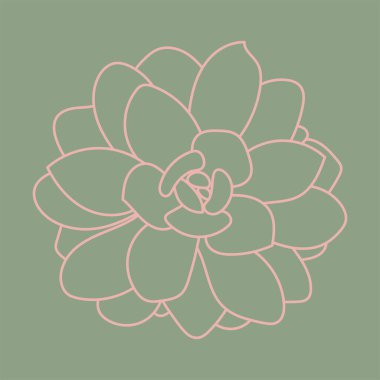 Sulu çizgi sanatı. Çöl çiçeği skeci. Ana hatlı çizim tesisi. Lezzetli karalama deseni. 