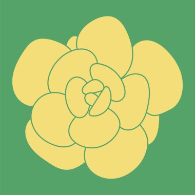 El yapımı sulu bitki. Modern Düzen. Çizim çizimi vektör illüstrasyonu. Şirin Arkaplan. 