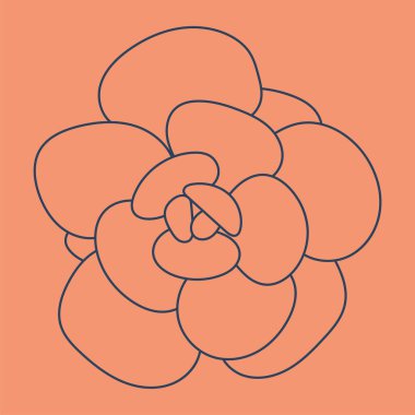 Doodle Succulent çiçeği. Modern arka plan. Baskı ve tasarım için çöl çiçeği, desenler, duvar kağıtları. 