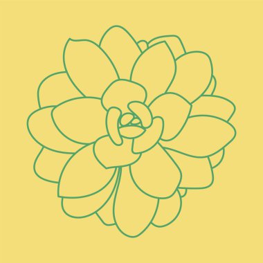 Doodle Succulent yeşil çiçeği. Baskı ve tasarım için çöl çiçeği. Şablon. Modern arkaplan. 