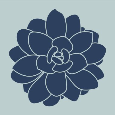 El yapımı sulu bitki. Şablon. Çizim vektör çizimi. 