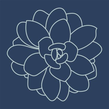 Lezzetli. Çölde çiçek. Karalama çizimi sulu. Taslak çizimi. Desen. 