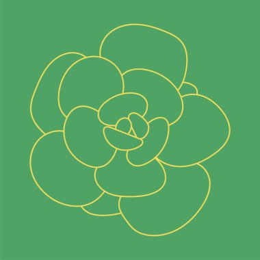 Parmak izleri, tasarımlar ve arka planlar için çöl çiçeği. Şirin desen. Doodle Succulent Çiçeği. 