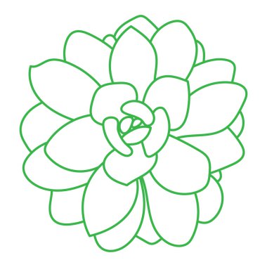 El çizimi yeşil sulu bitki beyaz arka planda izole edilmiş. Çizim vektör çizimi. 